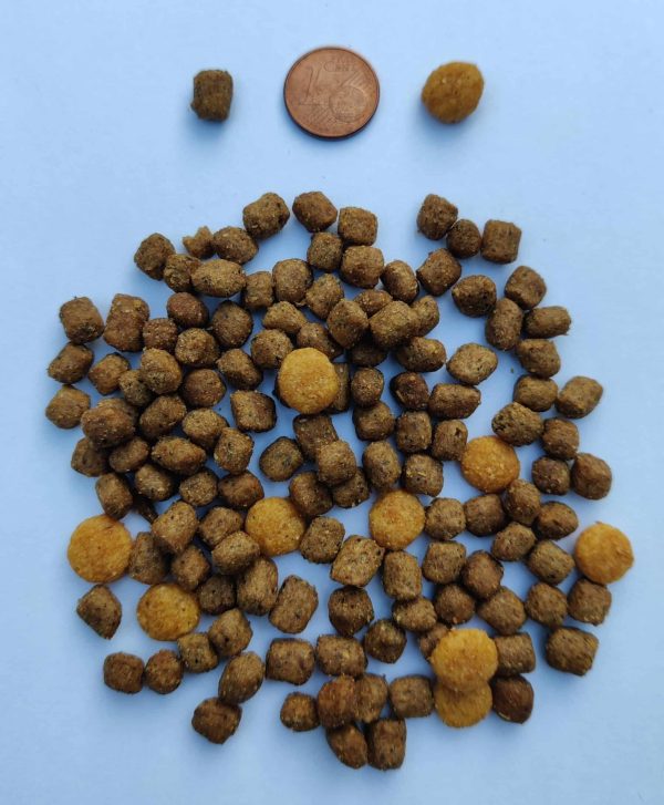 Taille croquettes Mastery chaton
