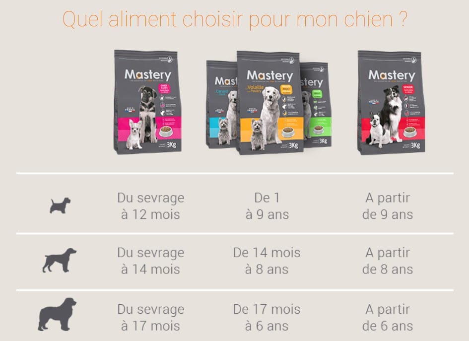 Quel aliment choisir pour son chien ?