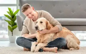 Chien en appartement