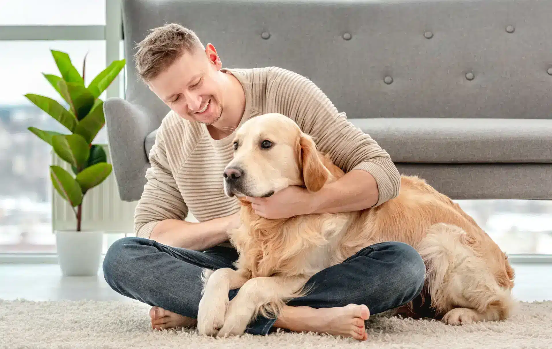 Chien en appartement