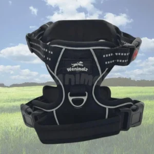 Harnais chien anti traction