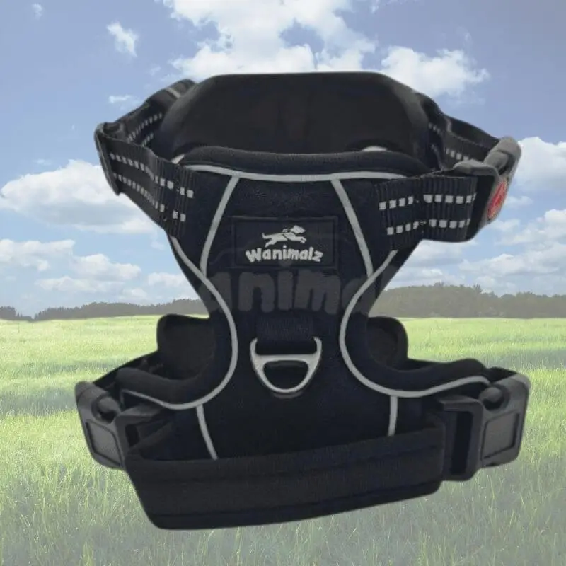 Harnais chien anti traction