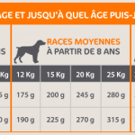 Ration croquette chien senior