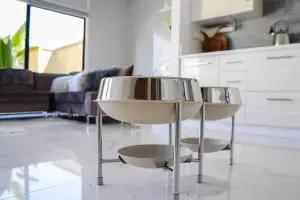 Gamelle chien surélevée : avantages et meilleurs modèles pour le confort de votre animal