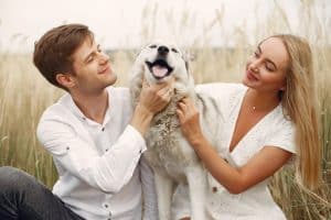 Accessoire de son chien